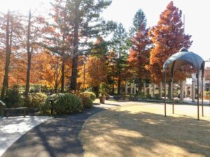 久屋大通庭園フラリエ、紅葉、11月秋、名古屋市中区の観光・撮影スポットの画像と写真