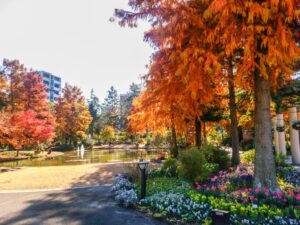久屋大通庭園フラリエ、紅葉、11月秋、名古屋市中区の観光・撮影スポットの画像と写真