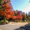 久屋大通庭園フラリエ、紅葉、11月秋、名古屋市中区の観光・撮影スポットの画像と写真