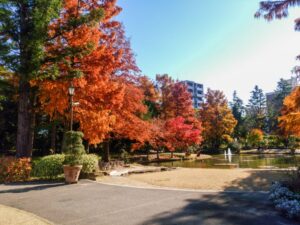 久屋大通庭園フラリエ、紅葉、11月秋、名古屋市中区の観光・撮影スポットの画像と写真