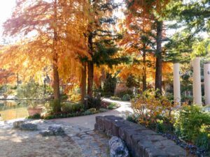 久屋大通庭園フラリエ、紅葉、11月秋、名古屋市中区の観光・撮影スポットの画像と写真