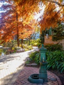 久屋大通庭園フラリエ、紅葉、11月秋、名古屋市中区の観光・撮影スポットの画像と写真