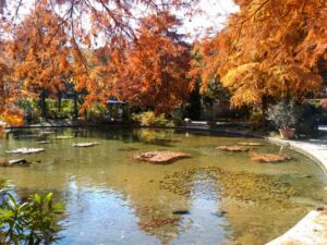 久屋大通庭園フラリエ、紅葉、11月秋、名古屋市中区の観光・撮影スポットの画像と写真