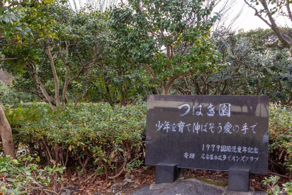 庄内緑地公園、椿園、1月春の花、名古屋市西区の観光・撮影スポットの画像と写真