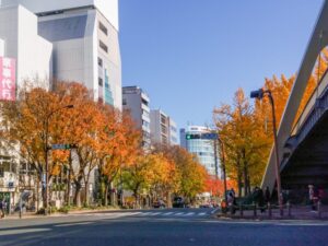 若宮大通、紅葉、イチョウ並木、11月秋、名古屋市中区の観光・撮影スポットの名所