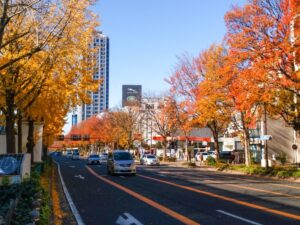 若宮大通、紅葉、イチョウ並木、11月秋、名古屋市中区の観光・撮影スポットの名所