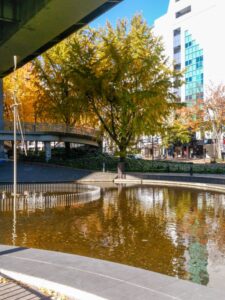 若宮大通、紅葉、イチョウ並木、11月秋、名古屋市中区の観光・撮影スポットの名所