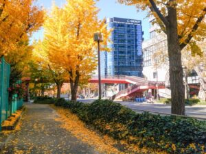 若宮大通、紅葉、イチョウ並木、11月秋、名古屋市中区の観光・撮影スポットの名所