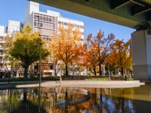 若宮大通、紅葉、イチョウ並木、11月秋、名古屋市中区の観光・撮影スポットの名所