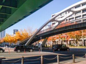 若宮大通、紅葉、イチョウ並木、11月秋、名古屋市中区の観光・撮影スポットの名所