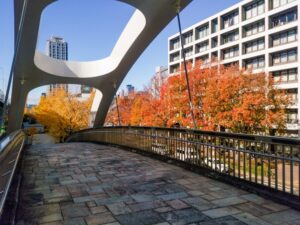若宮大通、紅葉、イチョウ並木、11月秋、名古屋市中区の観光・撮影スポットの名所