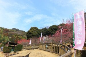 赤塚山公園、豊橋梅まつり、愛知県豊橋市の観光・撮影スポットの名所