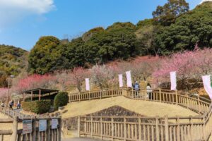 赤塚山公園、豊橋梅まつり、愛知県豊橋市の観光・撮影スポットの名所