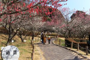 赤塚山公園、豊橋梅まつり、愛知県豊橋市の観光・撮影スポットの名所