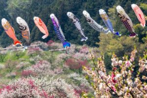 阿智村：花桃の里、5月春の花、長野県下伊那郡の観光・撮影スポットの名所