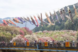 阿智村：花桃の里、5月春の花、長野県下伊那郡の観光・撮影スポットの名所
