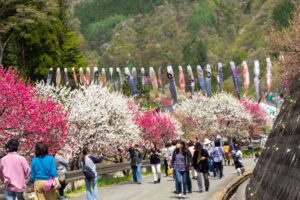 阿智村：花桃の里、5月春の花、長野県下伊那郡の観光・撮影スポットの名所