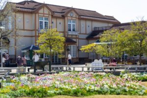 ブルーボネット、４月春の花、名古屋市港区の観光・撮影スポットの画像と写真