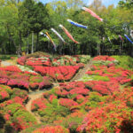 台城公園つつじ祭り、5月の春の花、長野県下伊那郡の観光・撮影スポットの名所