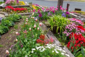 浜名湖ガーデンパーク、春の花、4月、静岡県浜松市の観光・撮影スポットの名所