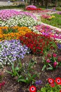 浜名湖ガーデンパーク、春の花、4月、静岡県浜松市の観光・撮影スポットの名所
