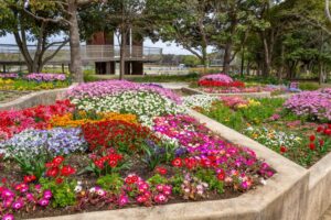 浜名湖ガーデンパーク、春の花、4月、静岡県浜松市の観光・撮影スポットの名所