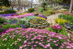 浜名湖ガーデンパーク、春の花、4月、静岡県浜松市の観光・撮影スポットの名所