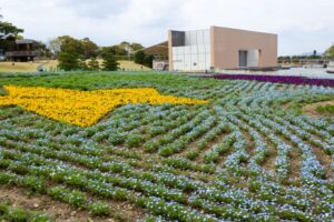 浜名湖ガーデンパーク、ネモフィラ、4月春の花、静岡県浜松市の観光・撮影スポットの名所