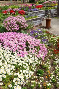 浜名湖ガーデンパーク、春の花、4月、静岡県浜松市の観光・撮影スポットの名所