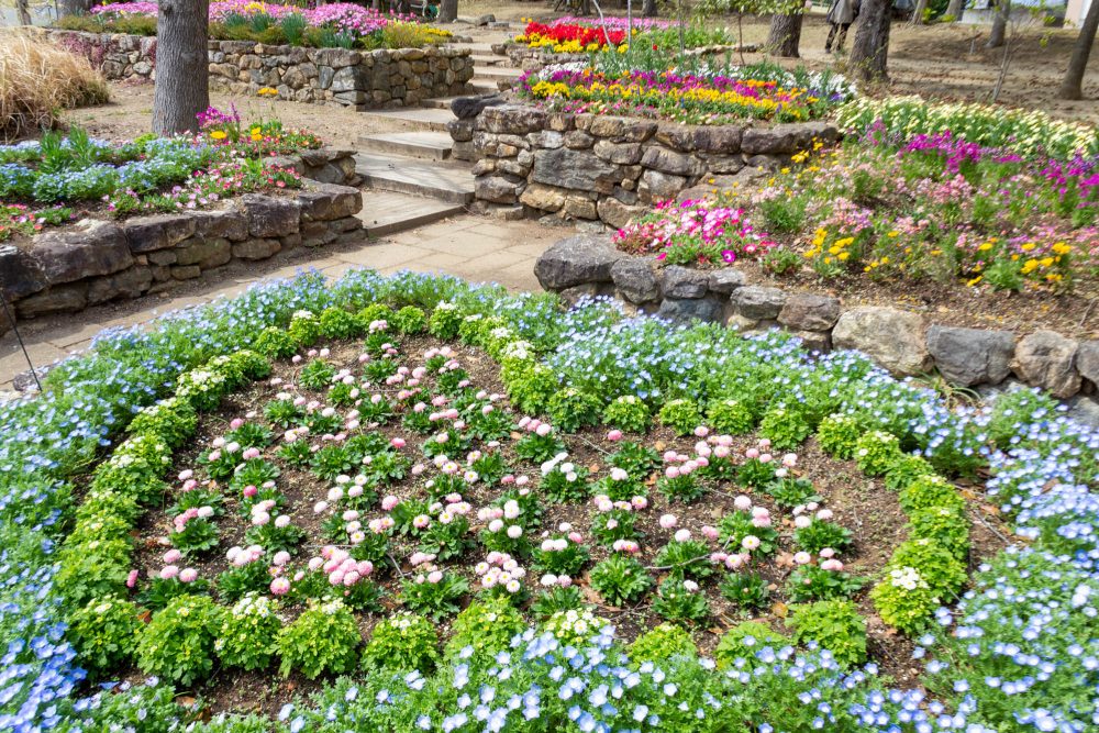 浜名湖ガーデンパーク、春の花、4月、静岡県浜松市の観光・撮影スポットの名所