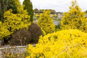 浜名湖ガーデンパーク、春の花、4月、静岡県浜松市の観光・撮影スポットの名所