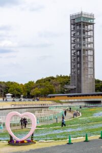 浜名湖ガーデンパーク、ネモフィラ、4月春の花、静岡県浜松市の観光・撮影スポットの名所