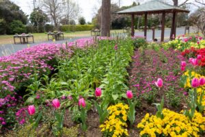 浜名湖ガーデンパーク、春の花、4月、静岡県浜松市の観光・撮影スポットの名所