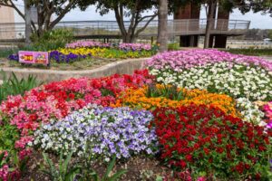 浜名湖ガーデンパーク、春の花、4月、静岡県浜松市の観光・撮影スポットの名所