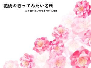 花桃イラスト