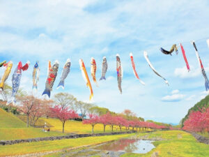 羽根谷だんだん公園、八重桜・鯉のぼり、3月春の花、岐阜県海津市の観光・撮影スポットの画像と写真