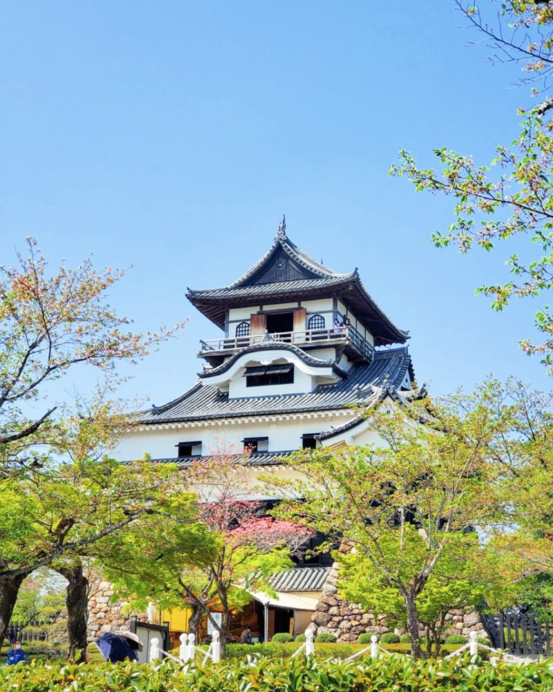 犬山城、4月の春の花、愛知県犬山市の観光・撮影スポットの画像と写真