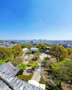 犬山城展望台、4月の春の花、愛知県犬山市の観光・撮影スポットの画像と写真