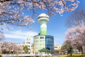 すいとぴあ江南、桜、３月春の花、愛知県江南市の観光・撮影スポットの画像と写真