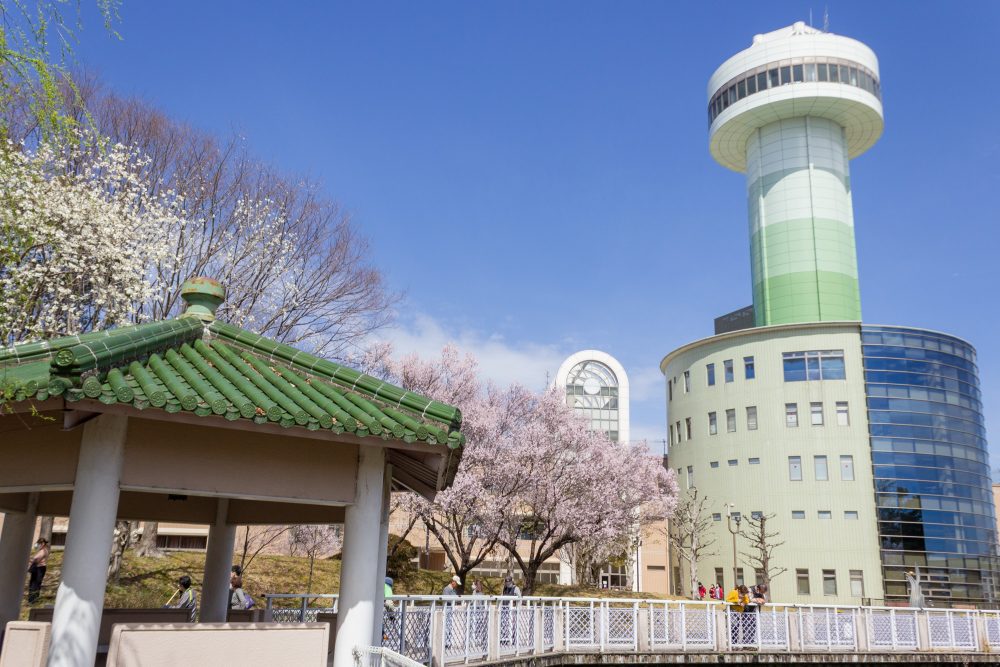 すいとぴあ江南、桜、３月春の花、愛知県江南市の観光・撮影スポットの画像と写真