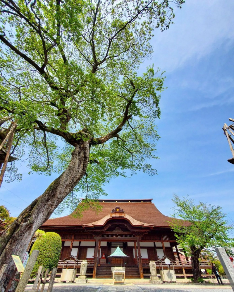 曼陀羅寺、5月の春の花、愛知県江南市の観光・撮影スポットの画像と写真