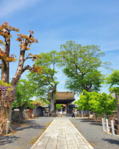 曼陀羅寺、5月の春の花、愛知県江南市の観光・撮影スポットの画像と写真