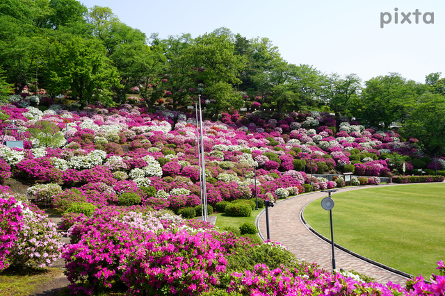 西山公園（5月）福井県鯖江市の観光・撮影スポットの名所