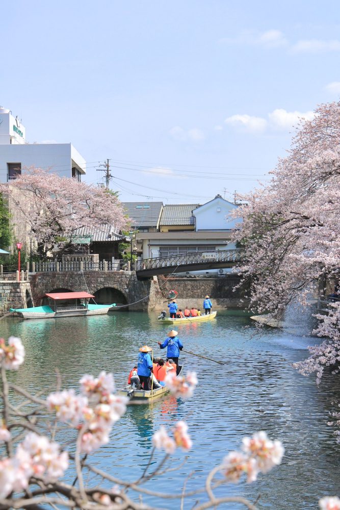 奥の細道むすびの地記念館、船下り、桜まつり、4月春の花、岐阜県大垣市の観光・撮影スポットの画像と写真