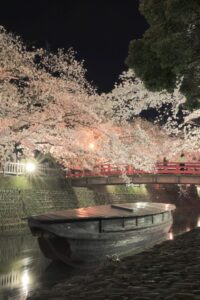奥の細道むすびの地記念館、桜まつりライトアップ、4月春の花、岐阜県大垣市の観光・撮影スポットの画像と写真