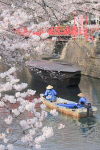 奥の細道むすびの地記念館、船下り、桜まつり、4月春の花、岐阜県大垣市の観光・撮影スポットの画像と写真