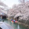 奥の細道むすびの地記念館、船下り、桜まつり、4月春の花、岐阜県大垣市の観光・撮影スポットの画像と写真