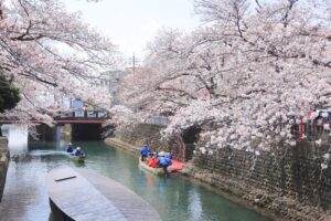 奥の細道むすびの地記念館、船下り、桜まつり、4月春の花、岐阜県大垣市の観光・撮影スポットの画像と写真