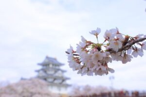 墨俣一夜城、さくら、4月春の花、岐阜県大垣市の観光・撮影スポットの画像と写真