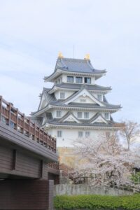 墨俣一夜城、さくら、4月春の花、岐阜県大垣市の観光・撮影スポットの画像と写真